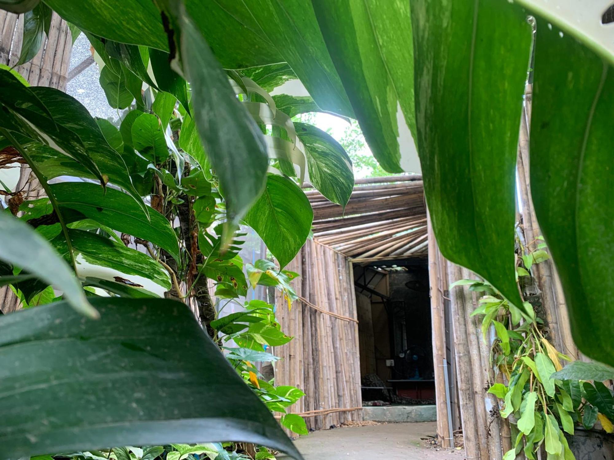 Fundee Story Guesthouse Bamboo House In Chiang Mai Old Town Exterior photo